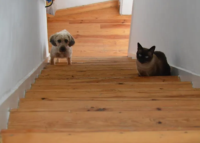 Casa Do Centro Kwatera prywatna